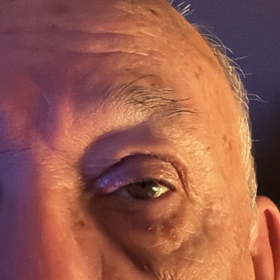 Professor Sênior de Estudos Literários (UEL), interesses: literatura expandida, literatura digital, ausências e lutos na literatura e nas artes, Lacan.