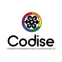 CODISE A.C. (@codise_ac) 's Twitter Profile Photo