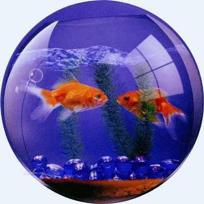 RAKAIZZZZ's profile picture. deep deep deep in the trenches. FnF