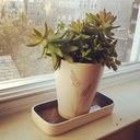 Greta Roth - @NutmegandSugar - Twitter