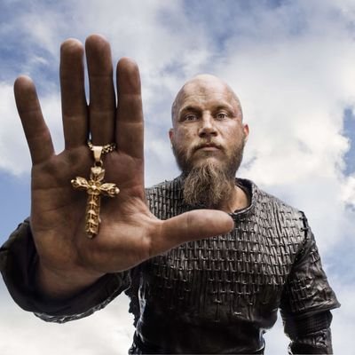 V_l_K_I_N_G's profile picture. 