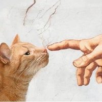 Bez Cadıları (@ohyoonjoo) 's Twitter Profile