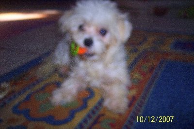 AmyOctaputer's profile picture. 