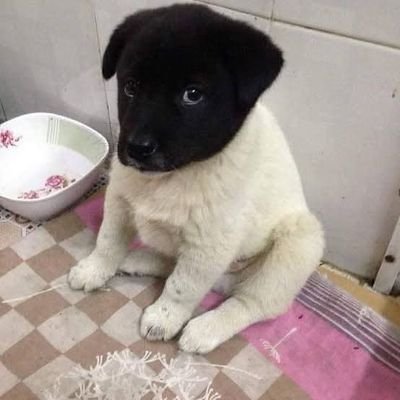 CSVAULTx's profile picture. ☆