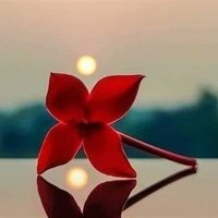 مِــــلَكَة🌹آلَطيــّب🇸🇦 (@jii_01) 's Twitter Profile