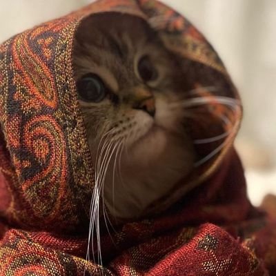 نشاركك كل ما يهمك في الحياة: معرفة، إلهام، وترفيه. حساب لكل شيء وللجميع 🤍