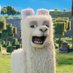 Minecraft Movie Updates (@mcmovieupdates) Twitter profile photo Minecraft Movie Updates (@mcmovieupdates) Twitter profile photo