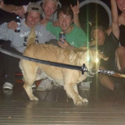 solusxs's profile picture. 6'4 and hung