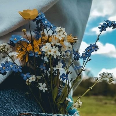 MarwaAR_'s profile picture. 2723 ll 987
Ohana 🌻
The sun will rise and we will try again.
أمان 🌸❤