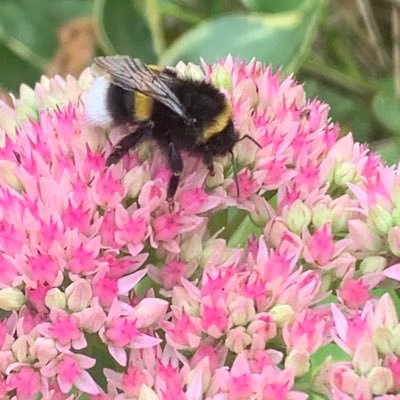 ilhat_cathy's profile picture. 