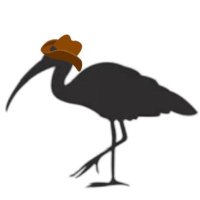 albus 👑 (@albus114) 's Twitter Profile Photo albus 👑 (@albus114) 's Twitter Profile Photo