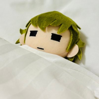 鉢谷ぐみさんのプロフィール画像