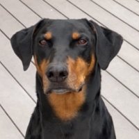 Sandy Abd (@sandyabd123) 's Twitter Profile Photo