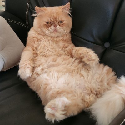 AriKusmayadi5's profile picture. 