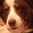 Alison Lloyd (@alisonjanelloyd) 's Twitter Profile Photo