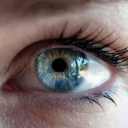 Laurabw4055's profile picture. Soy especial por ser yo... nada mas.