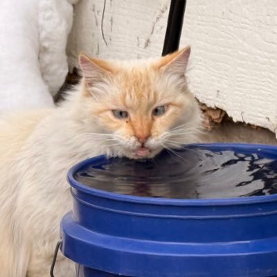 rooratx's profile picture. 