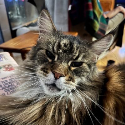 diadems8's profile picture. Mom, Wife, Daughter, Catholic, Writer.