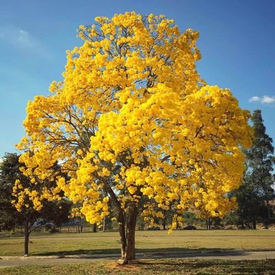 ColbM12763's profile picture.