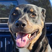 D² (@dudekd4681) 's Twitter Profile