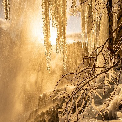 bunri1985's profile picture. フリーランス薬剤師（大阪桐蔭高校→徳島文理大学薬学部生薬学研究室東洋医学ゼミ）。
保険調剤、OTC販売、漢方相談対応（漢方薬局にて1年修行）。
＜経歴＞伊勢薬剤師会薬草研究部委員、伊勢・志摩薬剤師会合同研修委員。羽曳野市薬剤師会新型コロナワクチン接種事業参加。一般社団法人日本漢方交流理事（学術部、財務部長兼会計理事）。