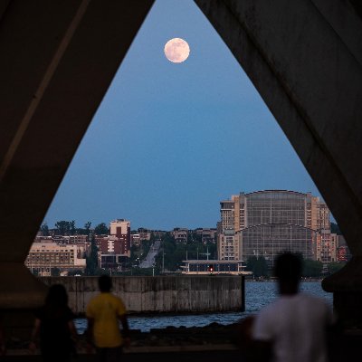 kaodiguaweb3's profile picture. DOGE COIN TO THE MOON