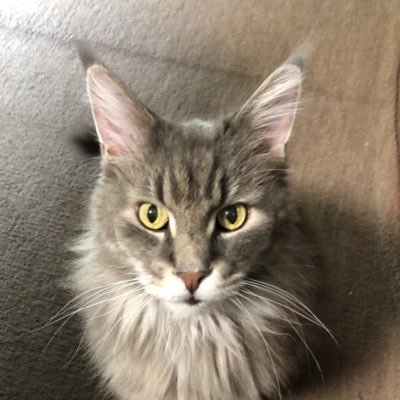 Rosemom38's profile picture. 