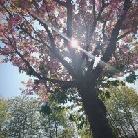 Icke_bins (@ickebins716151) 's Twitter Profile Photo Icke_bins (@ickebins716151) 's Twitter Profile Photo