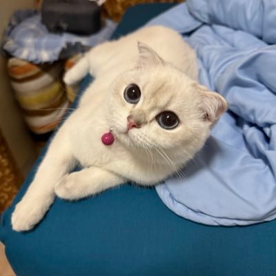 ppondnatnicha's profile picture. 