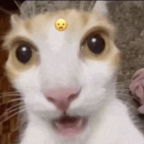 robloxlrlba's profile picture. chào mn