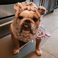 Ghosty (@villain_ghosty) 's Twitter Profile