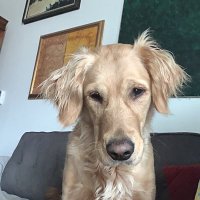 Louise (@louisecheney04) 's Twitter Profile