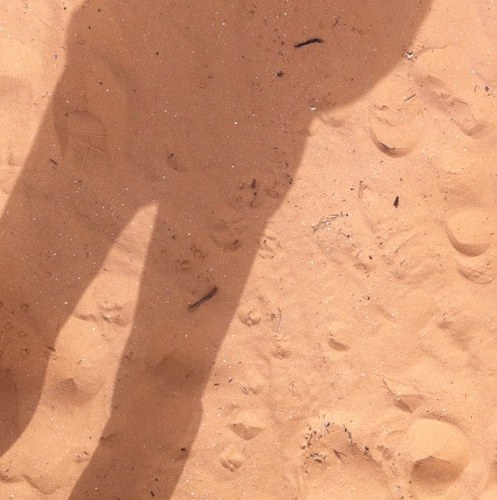 niraran's profile picture. זה שלא הכל ידוע לא אומר שהכל טוב