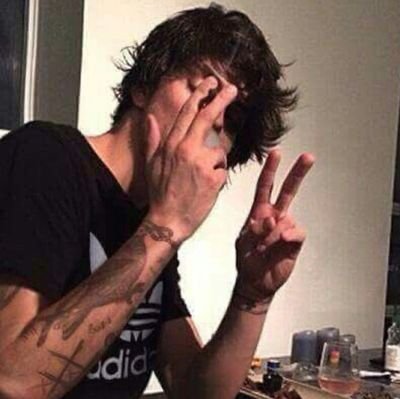 wxllslvh's profile picture. r lvs harry🤍