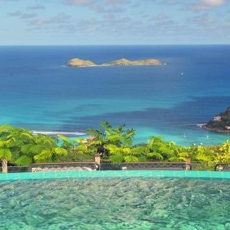 wang_ishan15469's profile picture. 