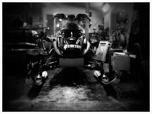 MorganRD's profile picture. snowmobiling is my way of life