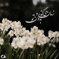 R mafakheri (@mafakheri_58832) 's Twitter Profile Photo