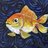 The Goldfish