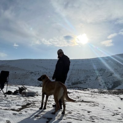 mahshiiid95's profile picture. 