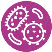 Salmonella-2025 (@salmonella2025) 's Twitter Profile Photo Salmonella-2025 (@salmonella2025) 's Twitter Profile Photo