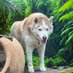 Dog Lover♥️ (@dogmomsarah) Twitter profile photo Dog Lover♥️ (@dogmomsarah) Twitter profile photo