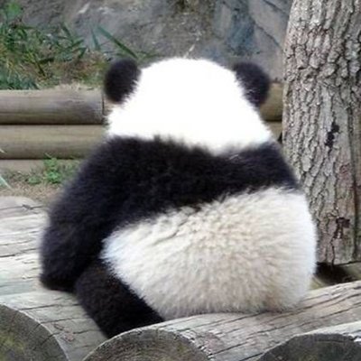 knowledge_ork's profile picture. 🛸