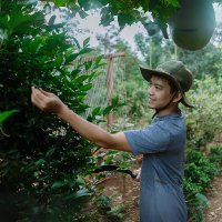 Phuc San (@sanphuc29233) 's Twitter Profile