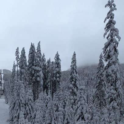 GnodJonof's profile picture. In the land of gnod