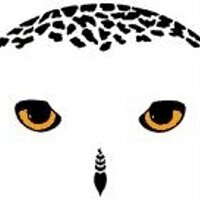 striv (@striv) 's Twitter Profile