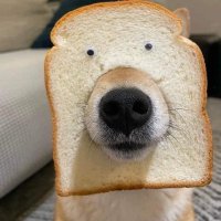 Alexandre_71| π² (@ale_xdd) 's Twitter Profile