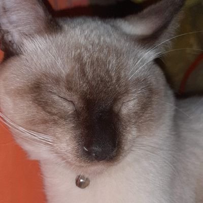 de_jark's profile picture. 