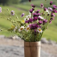 insan (@insan5959) Twitter profile photo