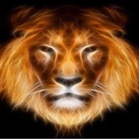 Josh (@josh13512021085) 's Twitter Profile