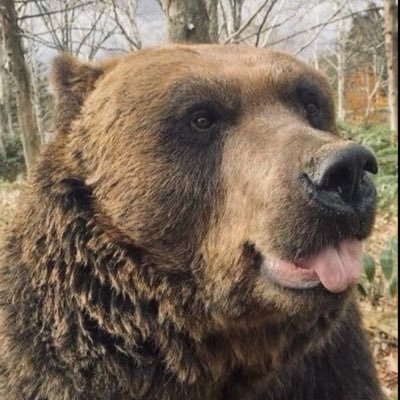 Swissss4's profile picture. He/Him